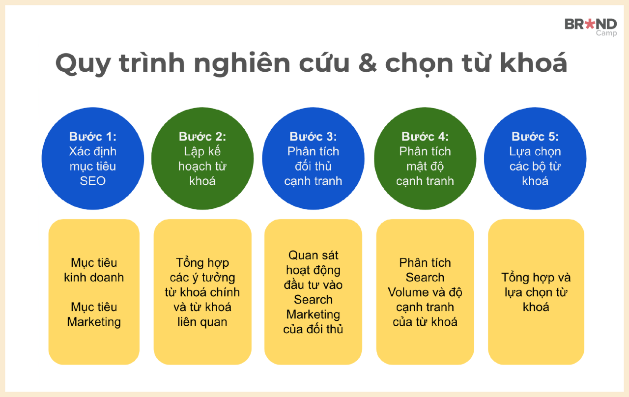 SEO web